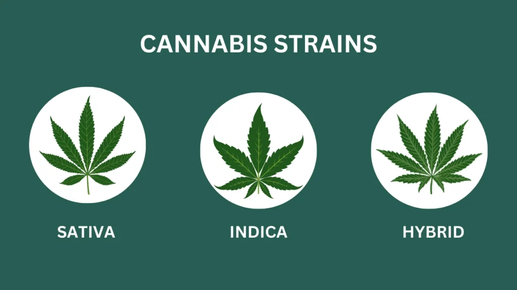 Images of different types of Weed strain on a green background