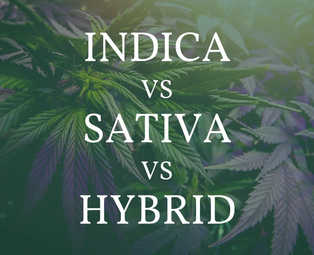 what is the difference between indica sativa and hybrid vapes