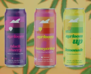 Best THC drinks for beginners from Windy Hill Wellness store