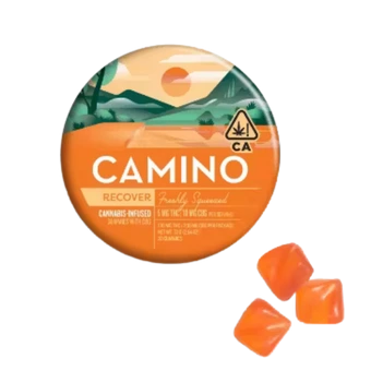 Freshly Squeezed | Recover (H) Camino | 20 Pack Gummies (100mg)