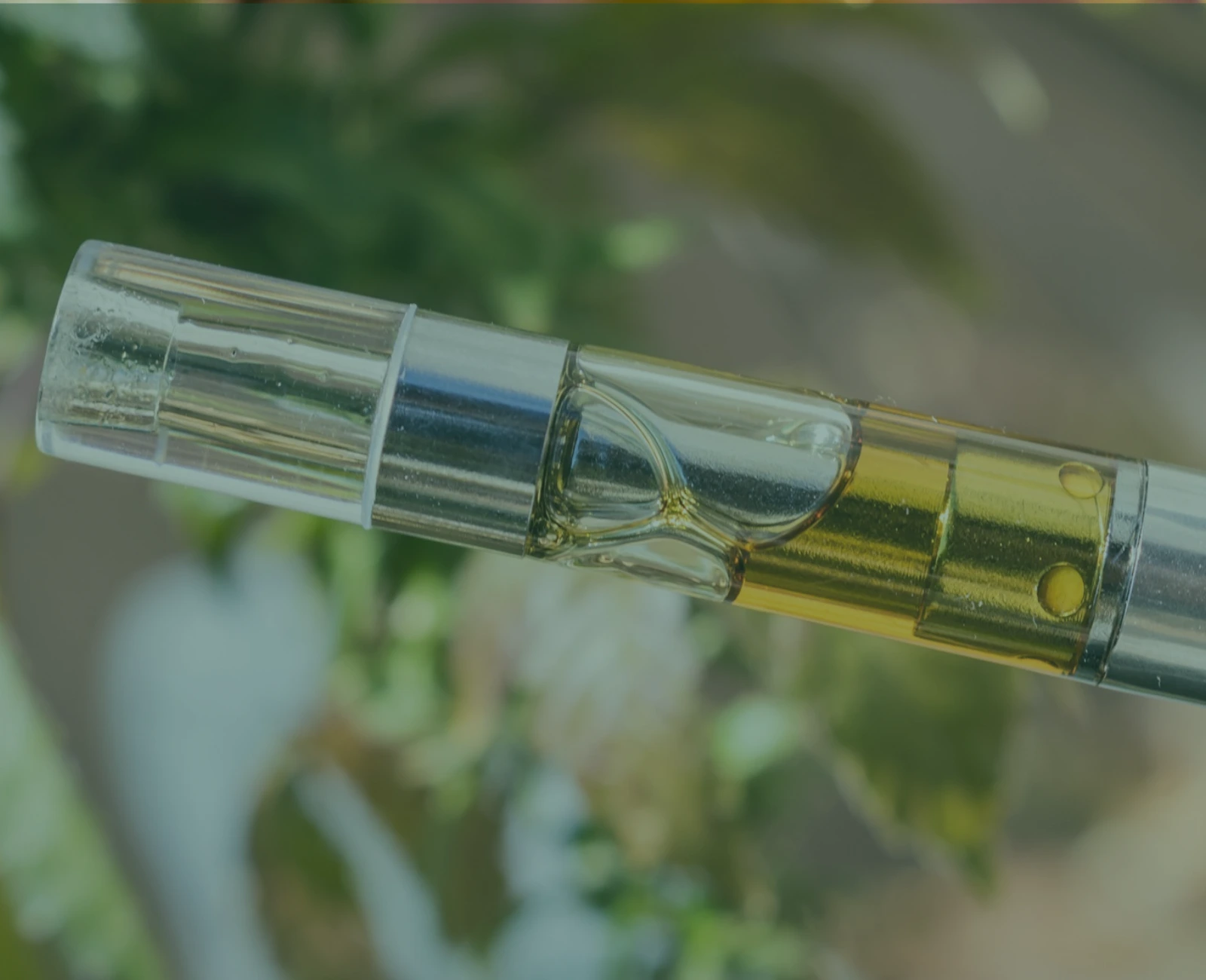 best sativa vape