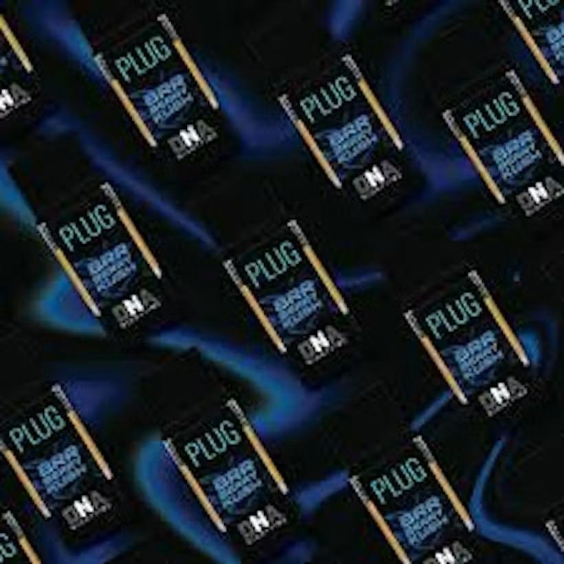 Plug Brr Berry Vape